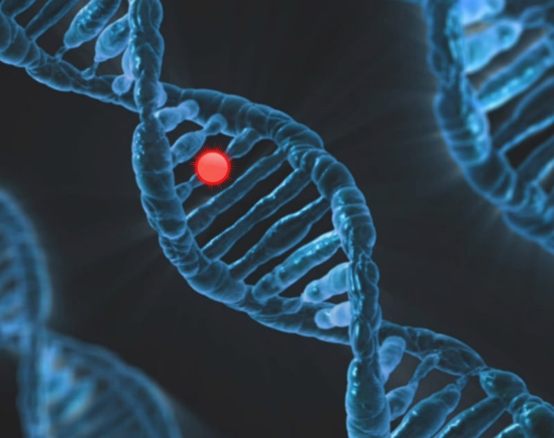 Biotechnology Sector